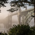 Bridge, Morning, Fog